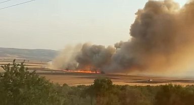 Araban Ovası'nda buğday tarlalarında yangın: 500 dönüm ekili alan kül oldu