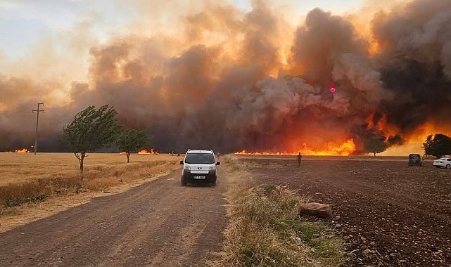 Araban Ovası'ndaki yangınların hasar tespit çalışmaları tamamlandı