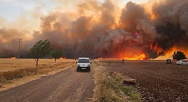 Araban Ovası'ndaki yangınların hasar tespit çalışmaları tamamlandı