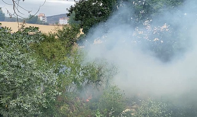 Arazide çıkan yangın yerleşim yerine sıçramadan söndürüldü