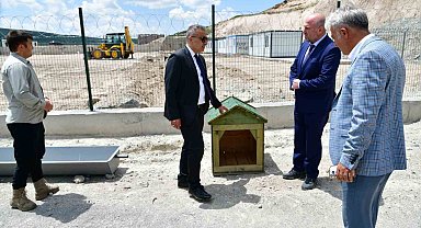 Ardahan'da sahipsiz hayvanlara yeni bir yuva