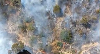 Arıcının tütsüsü ormanı yaktı