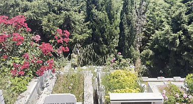 Arnavutköy'de mezarlıkta bebek cesedi bulundu