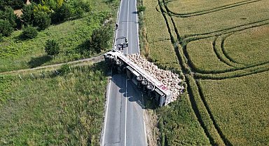 Arnavutköy'de patates yüklü tır devrildi, tonlarca patates tarlaya döküldü