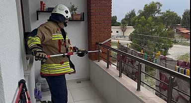 Arsuz'da evin balkonunda yılan paniği