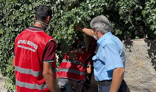 Artuklu'da "Çöp Ev" temizlendi, mahalle rahat nefes aldı