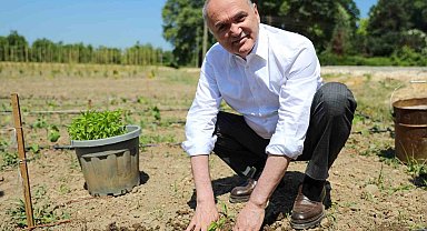 Ata tohumları toprakla buluştu