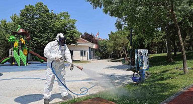 Ataşehir'de kenelere karşı etkili mücadele devam ediyor