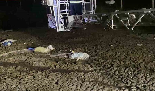 Atık dökülen alanda mahsur kalan koyunu itfaiyeciler kurtardı