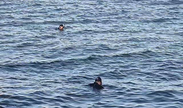 Avcılar'da denizde ceset ihbarı asılsız çıktı