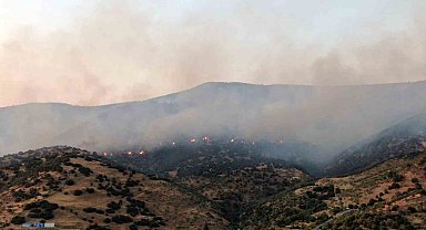 Aydın Efeler'deki yangına ekiplerin müdahalesi sürüyor