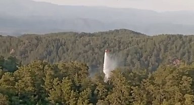 Aydın ve Muğla'daki orman yangınlarına hızlı müdahale