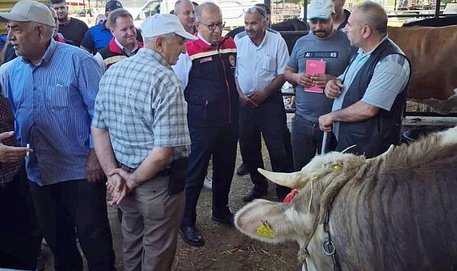 Aydın'da kurban satış yerleri denetleniyor