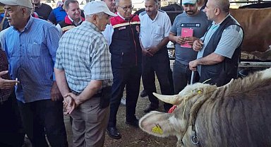 Aydın'da kurban satış yerleri denetleniyor