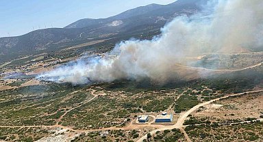 Aydın'da son 48 saatte 93 yangın çıktı, ateş savaşçıları zamanla yarıştı