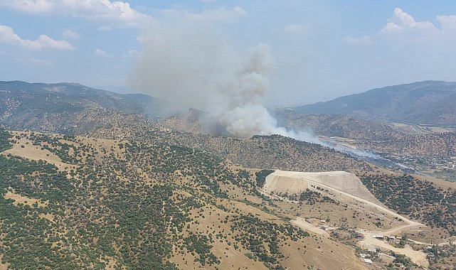 Aydın'da zirai alandaki yangın büyüyor