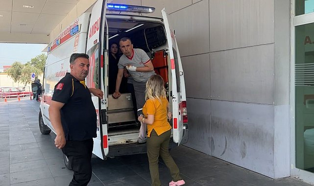 Aydın'ın acemi kasap bilançosu belli oldu