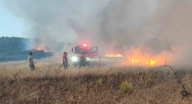 Ayvacık'ta tarım arazisinde yangın