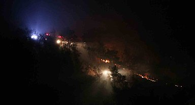 Ayvacık'ta tarım arazisindeki yangın kontrol altına alındı, 10 hektar alan zarar gördü