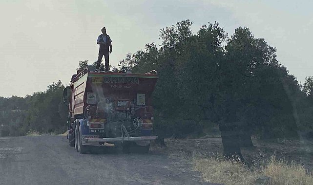Ayvalık'ta zeytinlik alanda çıkan yangın kontrol altına alındı