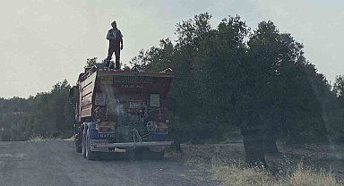 Ayvalık'ta zeytinlik alanda çıkan yangın kontrol altına alındı