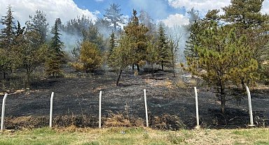 Babaeski'de çamlık alanda çıkan yangın söndürüldü