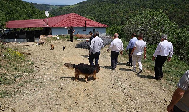 Bafra'da muhtarların tepkisini çeken izinsiz köpek barınağı mühürlenerek kapatıldı