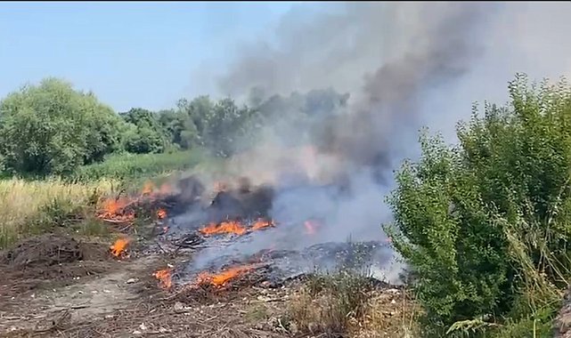Bafra'da ot yangını korkuttu