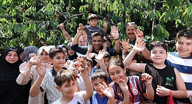 Bağcılar'da Kiraz Festivali coşkusu