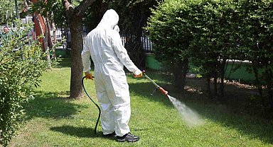 Bağcılar'da parklar ve yeşil alanlar ilaçlanıyor