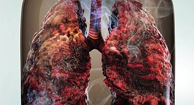 Bağımlılıkla Mücadele İl Koordinasyon Kurulu'ndan önemli kararlar