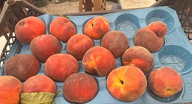 Bahar aylarında yaşanılan soğuklardan etkilenen meyveler etiketlere yansıdı