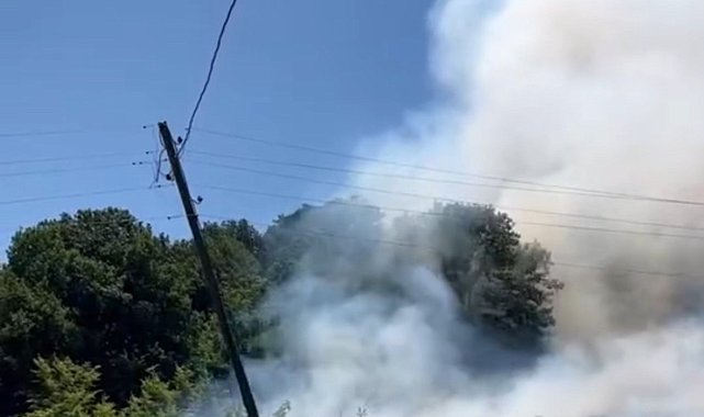 Bahçede çıkan yangın ormana sıçradı