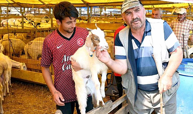 Bahçelievler kurban pazarı hem alıcıların hem de satıcıların yüzünü güldürdü