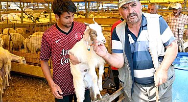 Bahçelievler kurban pazarı hem alıcıların hem de satıcıların yüzünü güldürdü