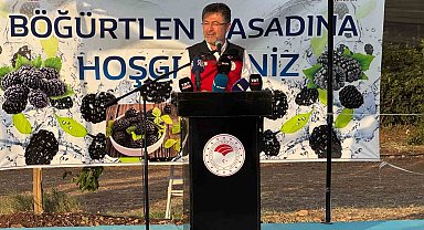 Bakan Yumaklı, Siirt'te böğürtlen hasadına katıldı