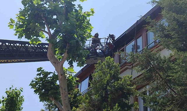 Bakırköy'de korkutan yangın
