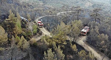 Balıkesir Havran'daki yangında havadan müdahale sabahın ilk ışıklarıyla tekrar başladı