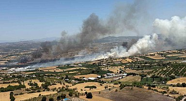 Balıkesir Pamukçu'da arazi yangını