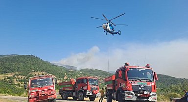 Balıkesir'de 11 orman ve arazi yangını meydana geldi