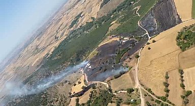 Balıkesir'de orman yangını