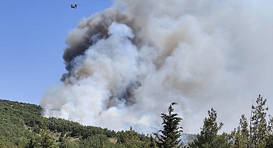 Balıkesir'deki orman yangınına müdahale ediliyor
