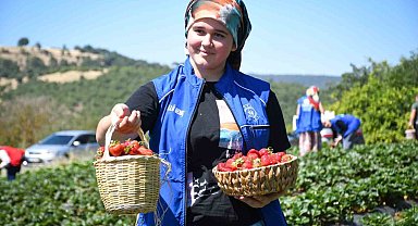 Balıkesirli gençlerden 'Gönüllü Hasat' etkinliği