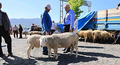 Başkan Arslan; "Üreticilerimizin emeğiyle, hemşehrilerimiz güvenle kurbanlıklarını temin ediyor"