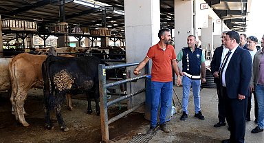 Başkan Aydın kurban pazarını ziyaret etti