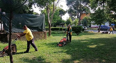 Başkan Çerçioğlu'ndan Aydın'a yeşil dokunuş