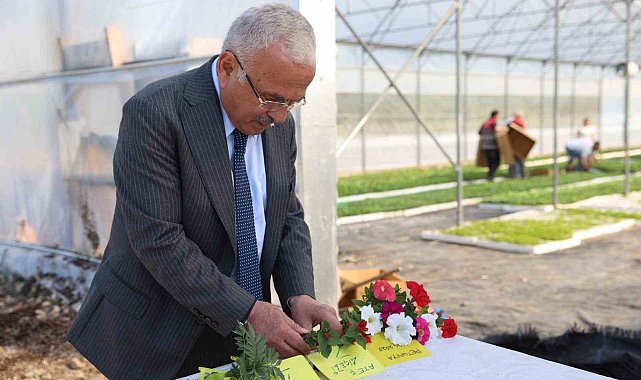 Başkan Güler: "Peyzaj çalışmalarında çiçekleri dışarıdan almıyor, yetiştiriyoruz"
