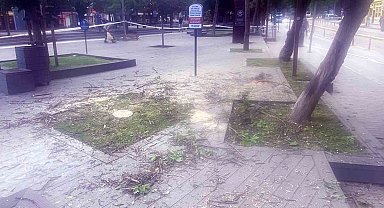 Başkan Vural'dan Hamamyolu'ndaki ağaç kesimine tepki