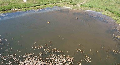 Başkentliler bayramın tadını Kızılcahamam yaylalarında çıkardı