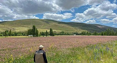 Bayburt ve Aydıntepe'de yem bitkileri için saha çalışmaları başlatıldı